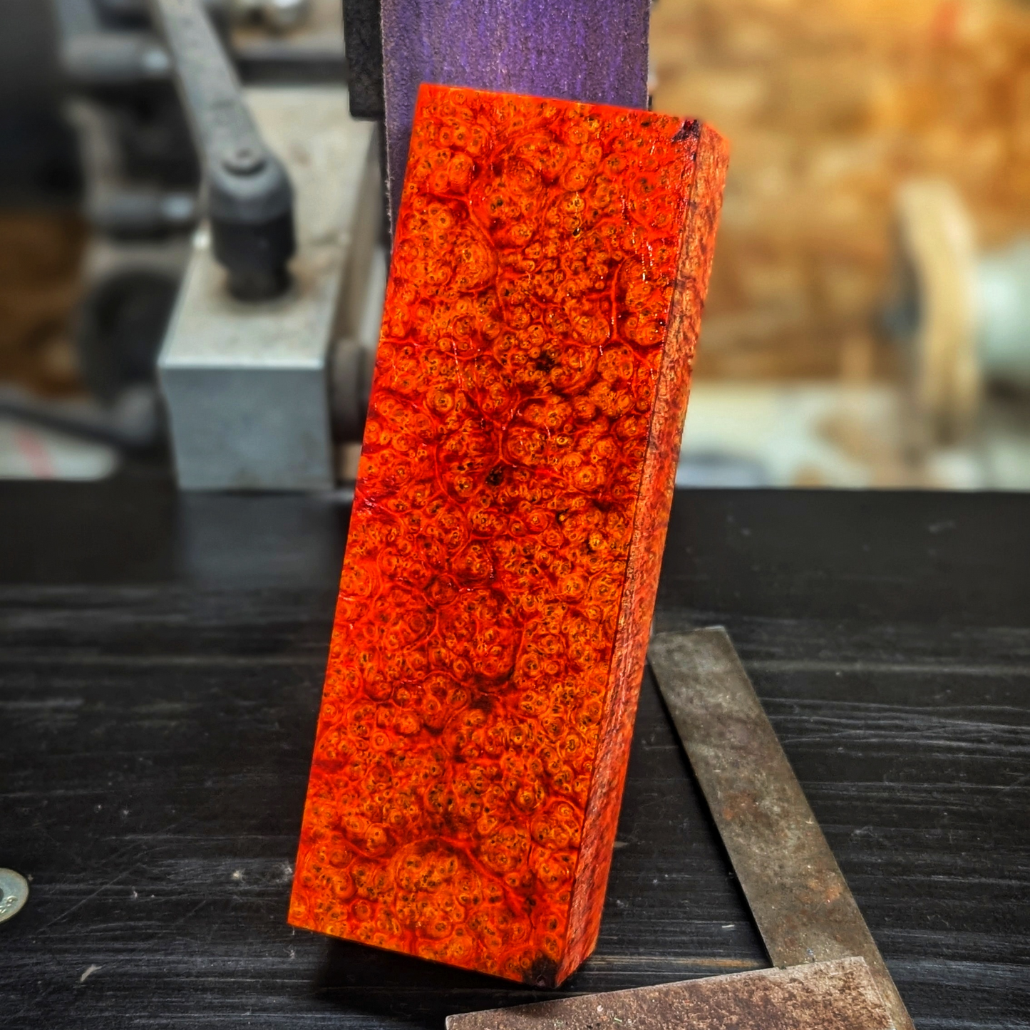 Stabilized Amboyna Burl - Orange