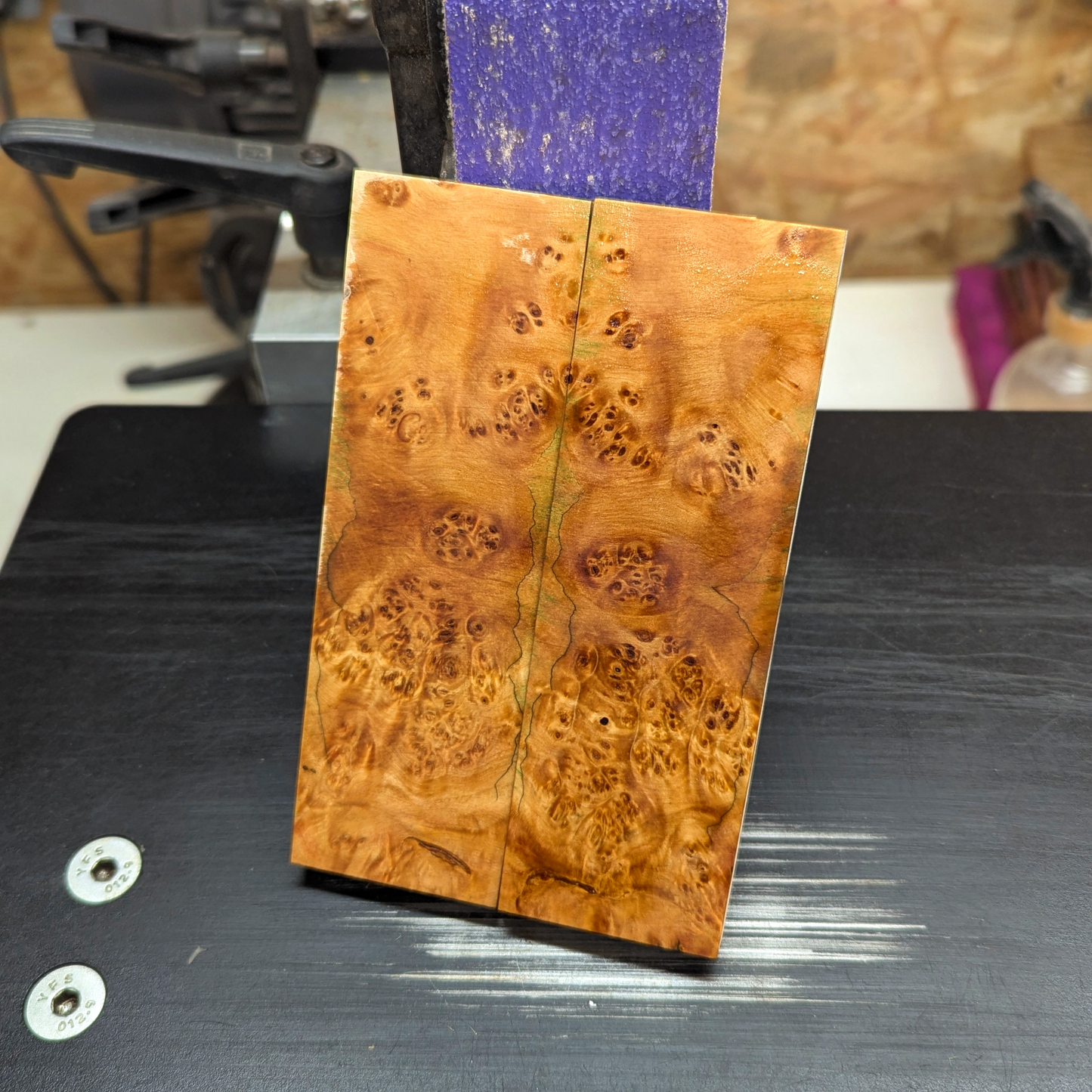 Boxelderburl Scales - Natural