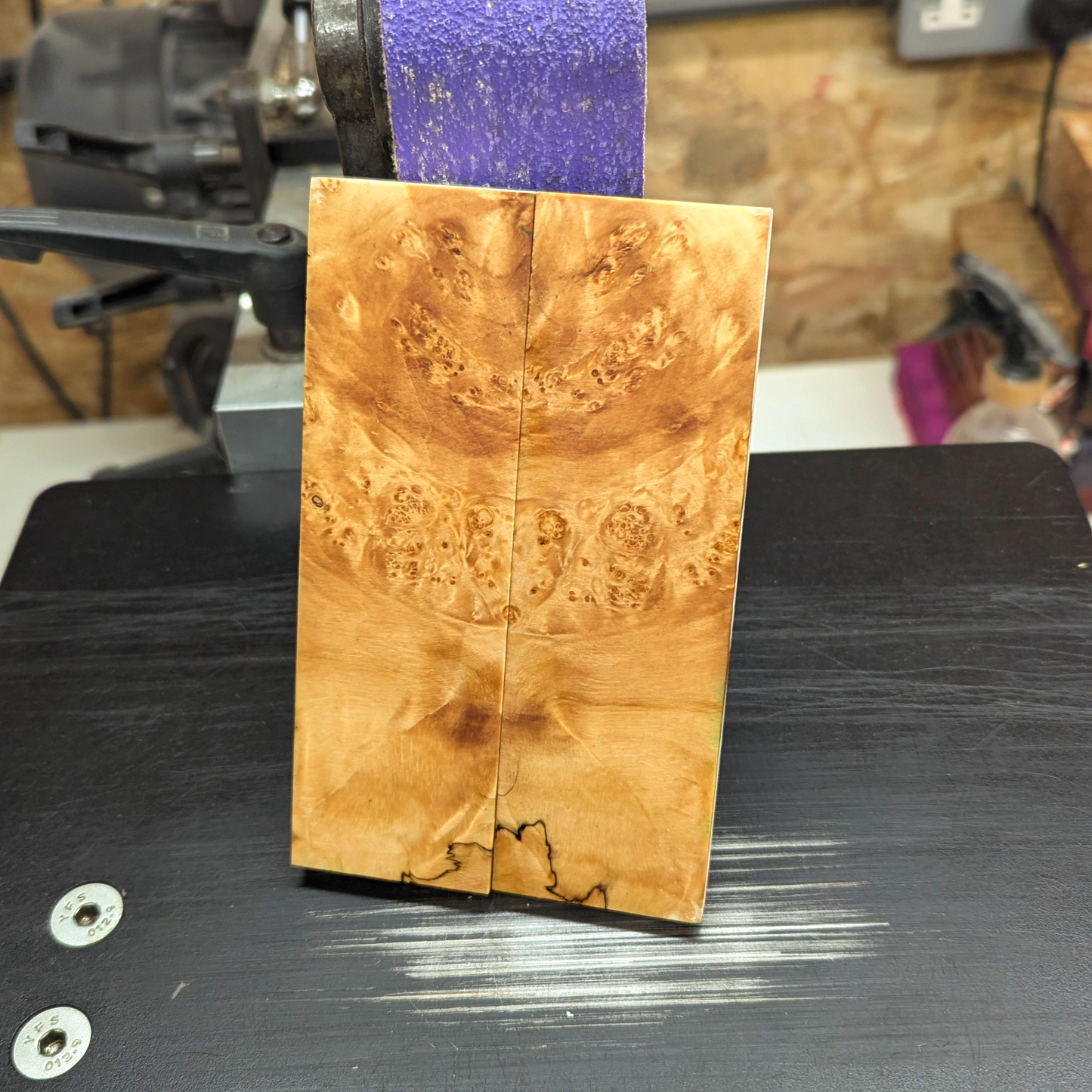 Boxelderburl Scales - Natural