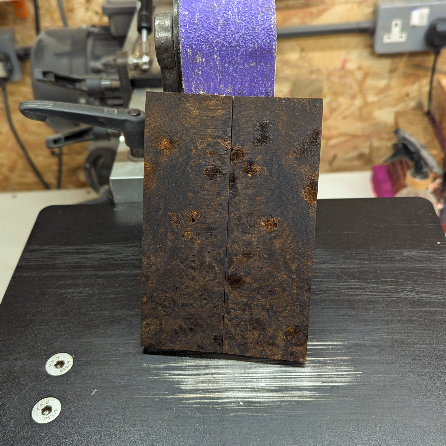 Boxelderburl Scales - Brown