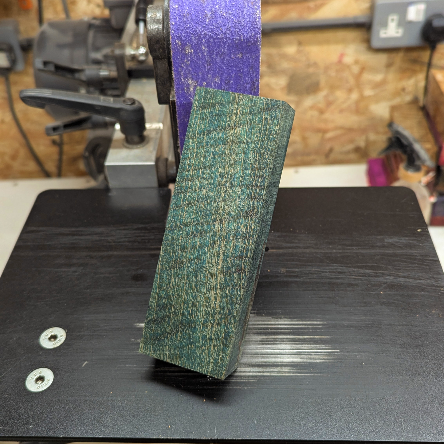 Curly Mango - Teal