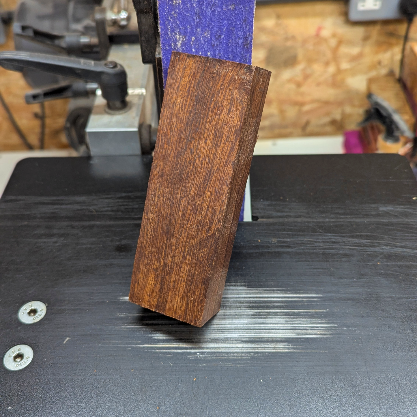 Desert Ironwood (130 x 45 x 30)