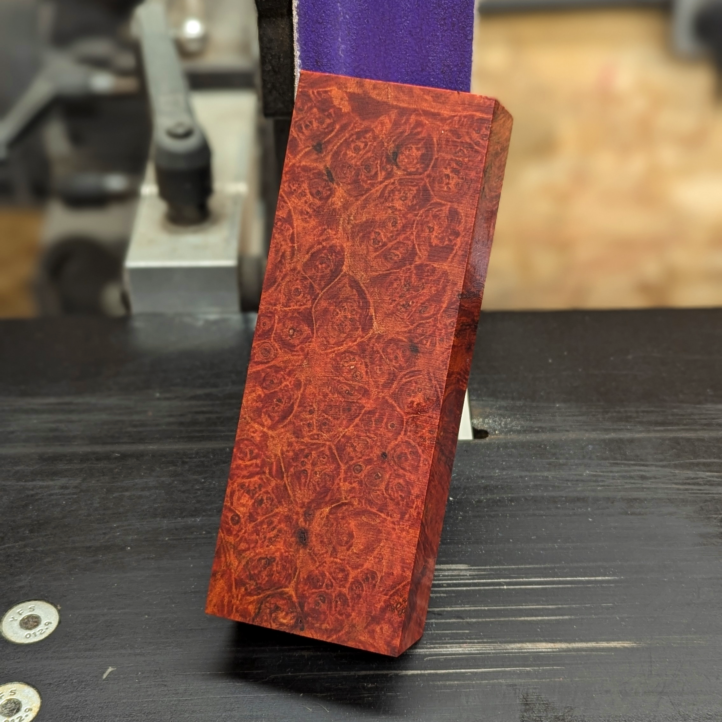 Stabilized Big Leaf Maple Burl - Orange