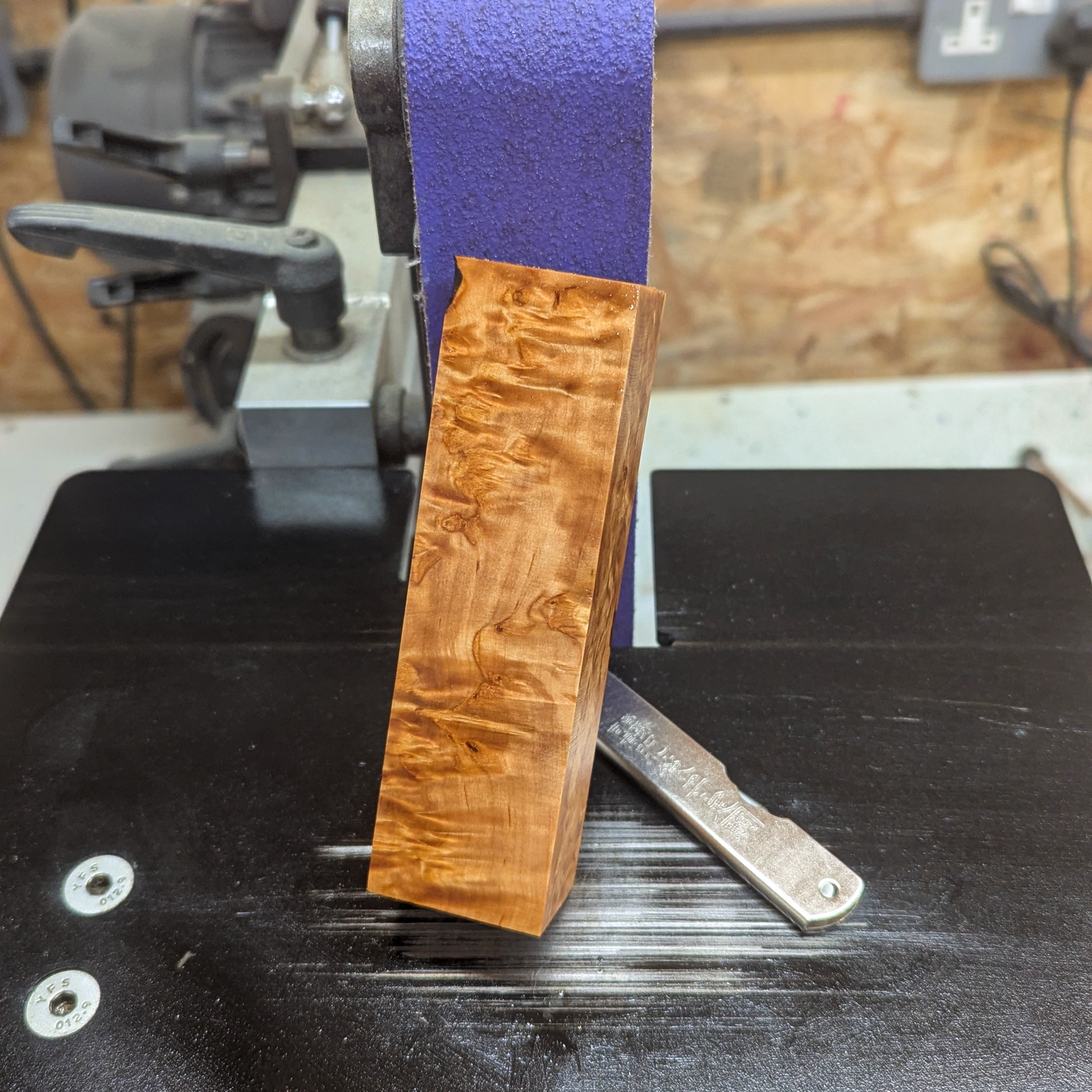 Masur Birch - Natural (WA Handle Size)