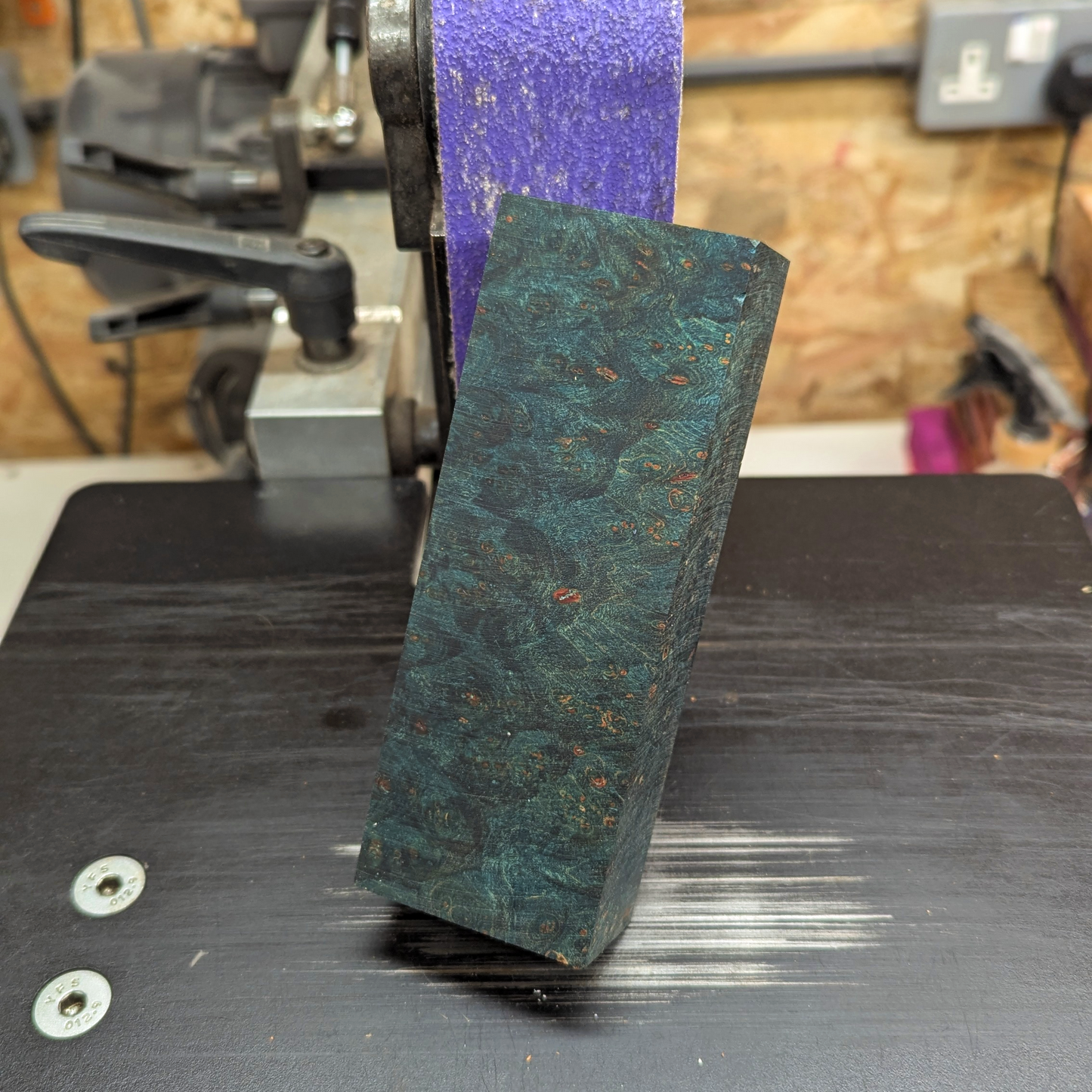 Big Leaf Maple Burl - Teal