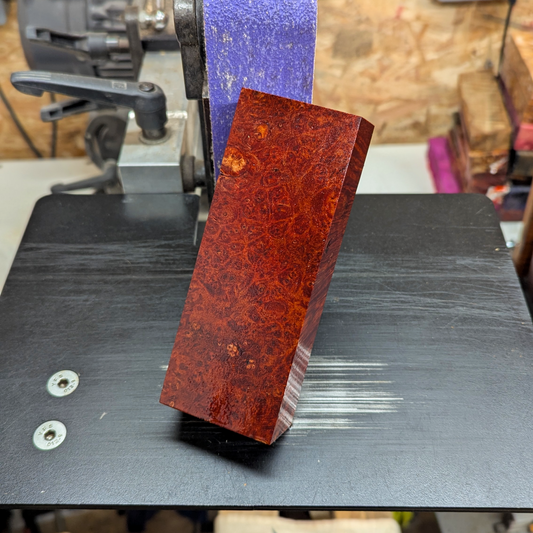 Big Leaf Maple Burl - Orange
